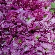 گل محمدی باقیمت مناسب