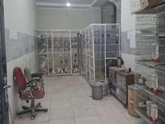 مغازه35 متر