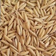 تیم بینج عالی