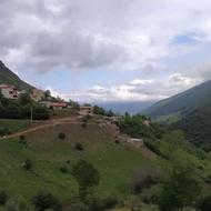 450 متر زمین در چالوس .مرزن آباد روستای ناتر
