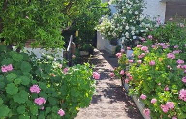 زمین روبه روی دریاکنار لوکیشن قوی 235متر با پروانه