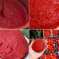 رب گوجه فرنگی به شرط تست