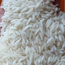 فروش برنج هاشمی