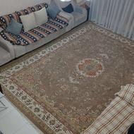 فرش 12 متری گردویی