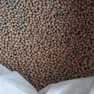 سویا روغنی لوبیا