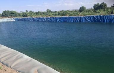 باغچه پسته 500 و 1000 متری
