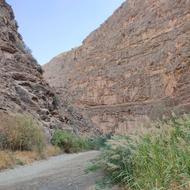 جویای کار در قوچان