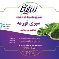 استخدام ویزیتور