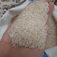 برنج هاشمی سورتینگ زده ارگانیگ