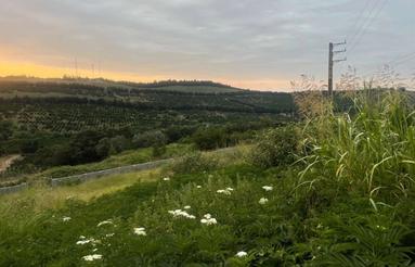 400 متر زمین دهکده ی زیبای سانخیل