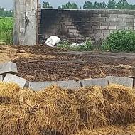 کود حیوانی