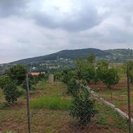 رویایِ تماشای جهان از تاجِ تپه!220متری در برند ترین نقطه