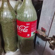 نعناع خشک خوشبو و معطر