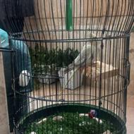 قفس مناسب برای پرنده