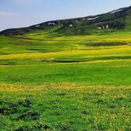 فروش زمین 200 متری کوچه تلاش 2