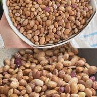 لوبیا چیتی با پخت عالی