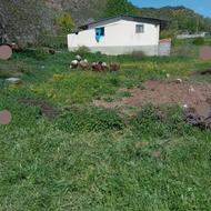یک زمین به مساحت 200 متری مربع واقع در روستای لترگاز سفلی