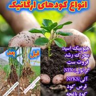 کودارگانیک