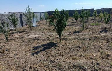 فروش باغ چهار دیواری و زمین