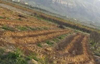 فروش زمین کشاورزی