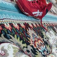 کفش کشتی سایز38