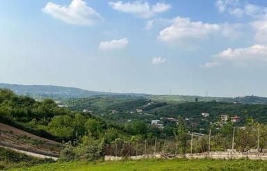 فروش زمین کشاورزی 1350 متر در چپی