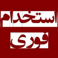 بازاریاب با فن بیان بالا و باهوش