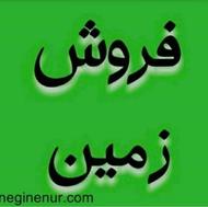 فروش زمین فوری لب جاده