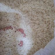 برنج طارم هاشمی خوش پخت