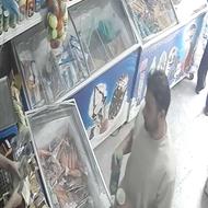 سگگمشده شهریار