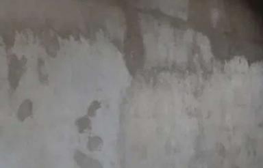 اجاره سوله 200متری در جاده ورجوی
