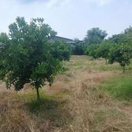 باغ مسکونی 3600متری هریکنده