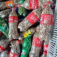 باقلا خشک تازه