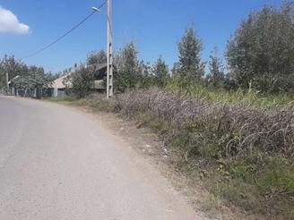 مسکونی باغی جنب اسفالت