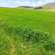 کشاورزی عالی