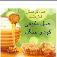 عسل درجه یک و ارگانیک کوه