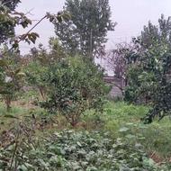 فروش 500 متر زمین جهت احداث باغچه آمل روستای چائوسرمحله