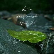 راننده وانت