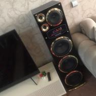 اسپیکر میکرولب دوقلو هستند