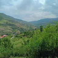 فروش زمین مسکونی 750 متر در چلاو گنگرج کلا
