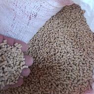 دانه پارس درشت سالم چاق کنده حیوانات