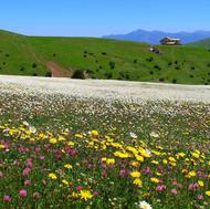 تور فندقلو دشت بابونه