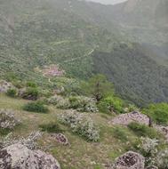جیپ کاام آماده خدمت رسانی به تور ... مسافران عزیز