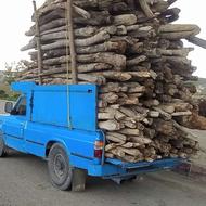 خریدانواع چوب از6000 تا13000