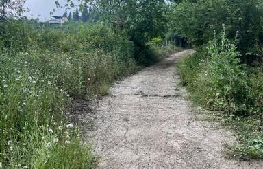 300 متر زمین با فضای سرسبز و باغی تنگه لته