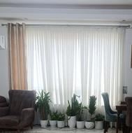 پرده پذیرایی