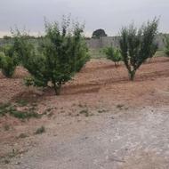 باغ چهاردیواری در شهریار