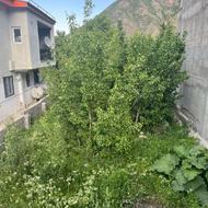 فروش زمین مسکونی 167 متر در ولیسده