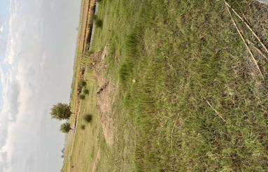 زمین خوش آب وهوادرروستای نفت چال