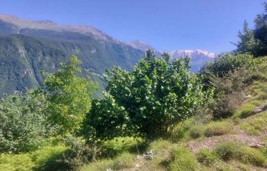 دوهزار روستای برسه